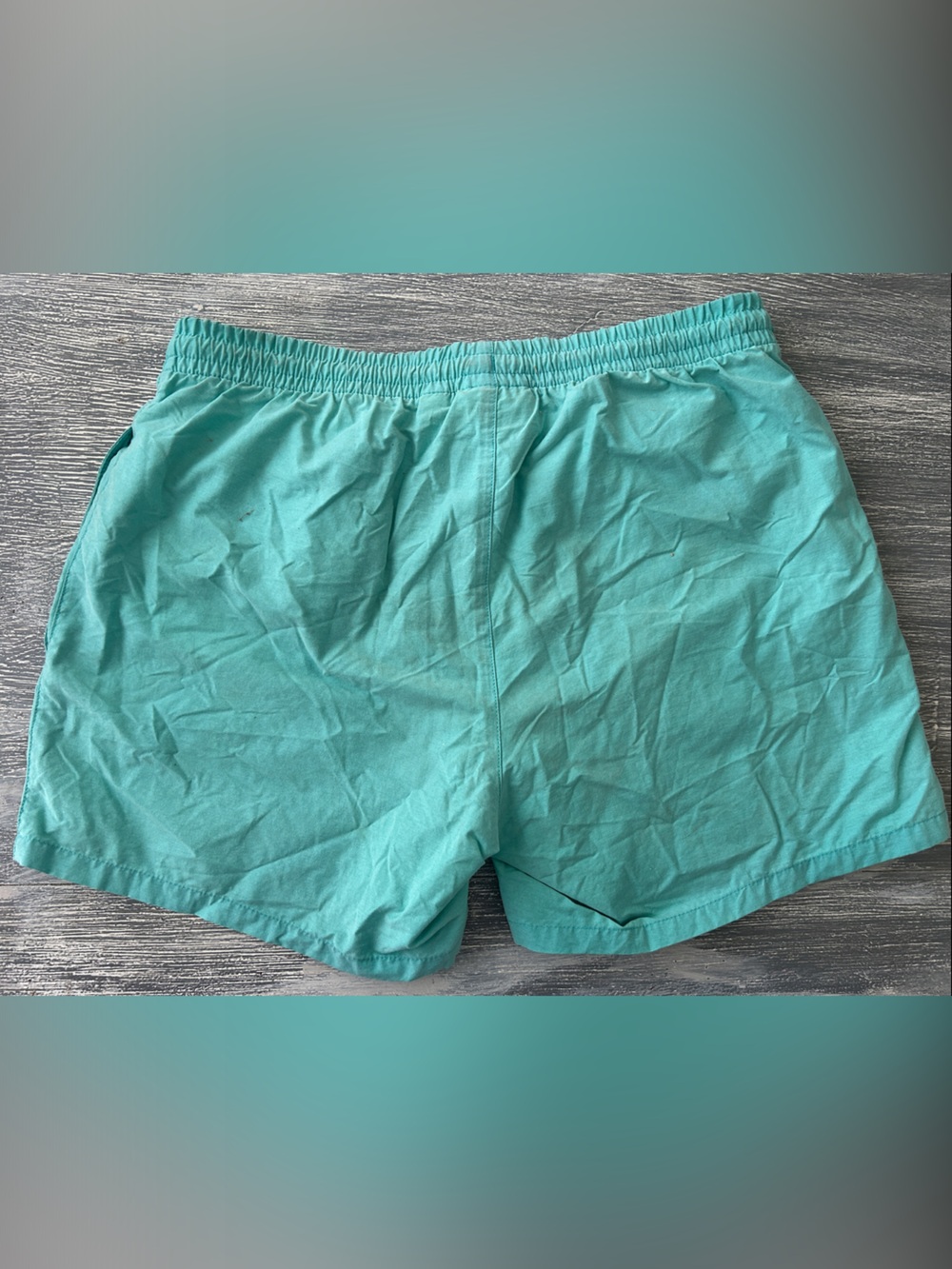 Izod Lacoste Turquoise Swim Trunks - Picture 3 of 3